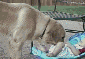 163348mswlv22gm2pknzgk.gif