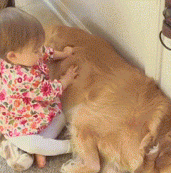 163343su2akyzfkmjca3kq.gif