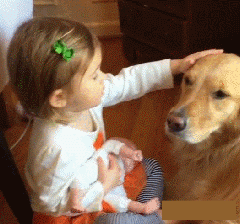 163356dnzgcy497z09bxkl.gif