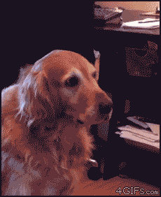163513zuo5w4k4g2zlwxwf.gif