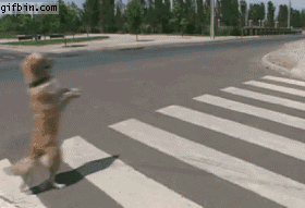163345sba1fzkrew1hdwdc.gif