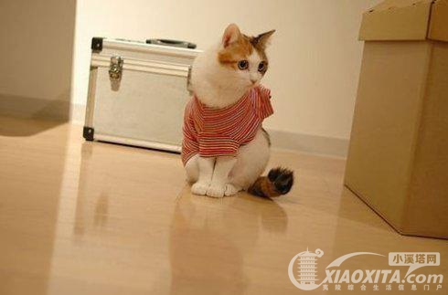 141341xhh7ph0tiffmdmmb.jpg