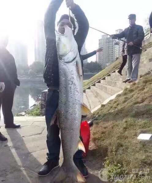 QQͼƬ20170331124633.jpg