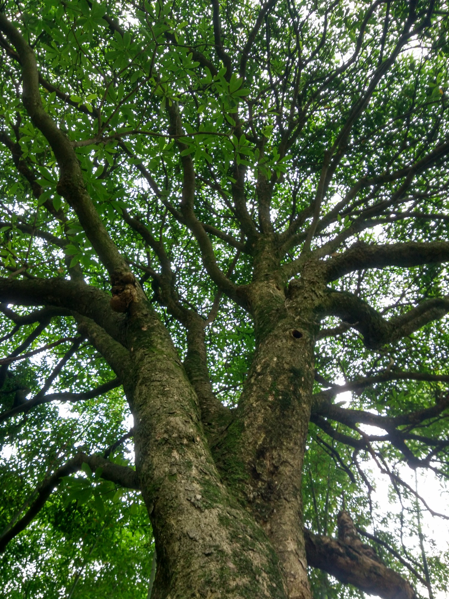 ½ļIMG_20170603_145349_HDR.jpg