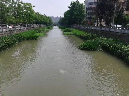 黑臭水体整治再发力 老余杭全员全力在行动