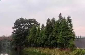 余杭这五年, 拼 出来的美好 快来试一试 喜迎十九大