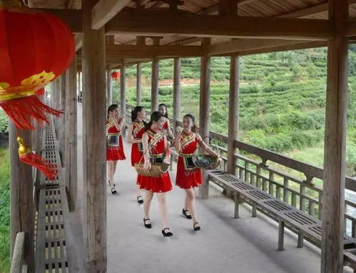 福安穆云好溪塔,畲韵风情葡萄乡