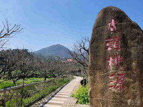 2018 03 10穆阳虎头桃源到溪塔