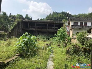 骑行六都村与伟溪塔下溪塔 探索祁门山水间的户外之旅