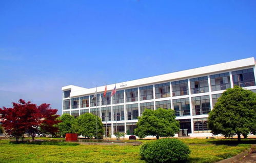 倒计时3天！新年福利，你准备好了吗？