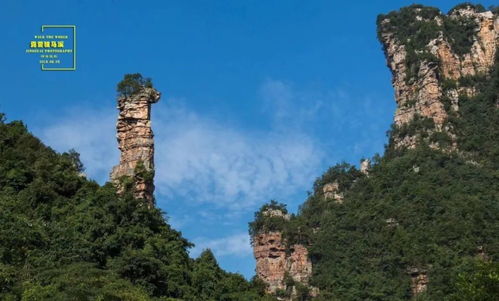 超全五一游玩攻略 这样安排，5天玩转张家界溪塔