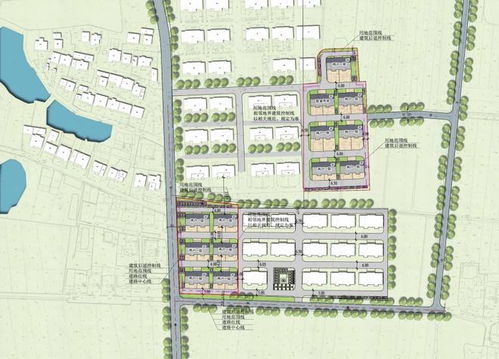 溪塔村农居点新增地块，拆迁户喜提新家，安居梦圆正当时