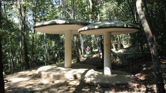 闽中秘境 探访永春牛姆林与溪塔的生态画卷